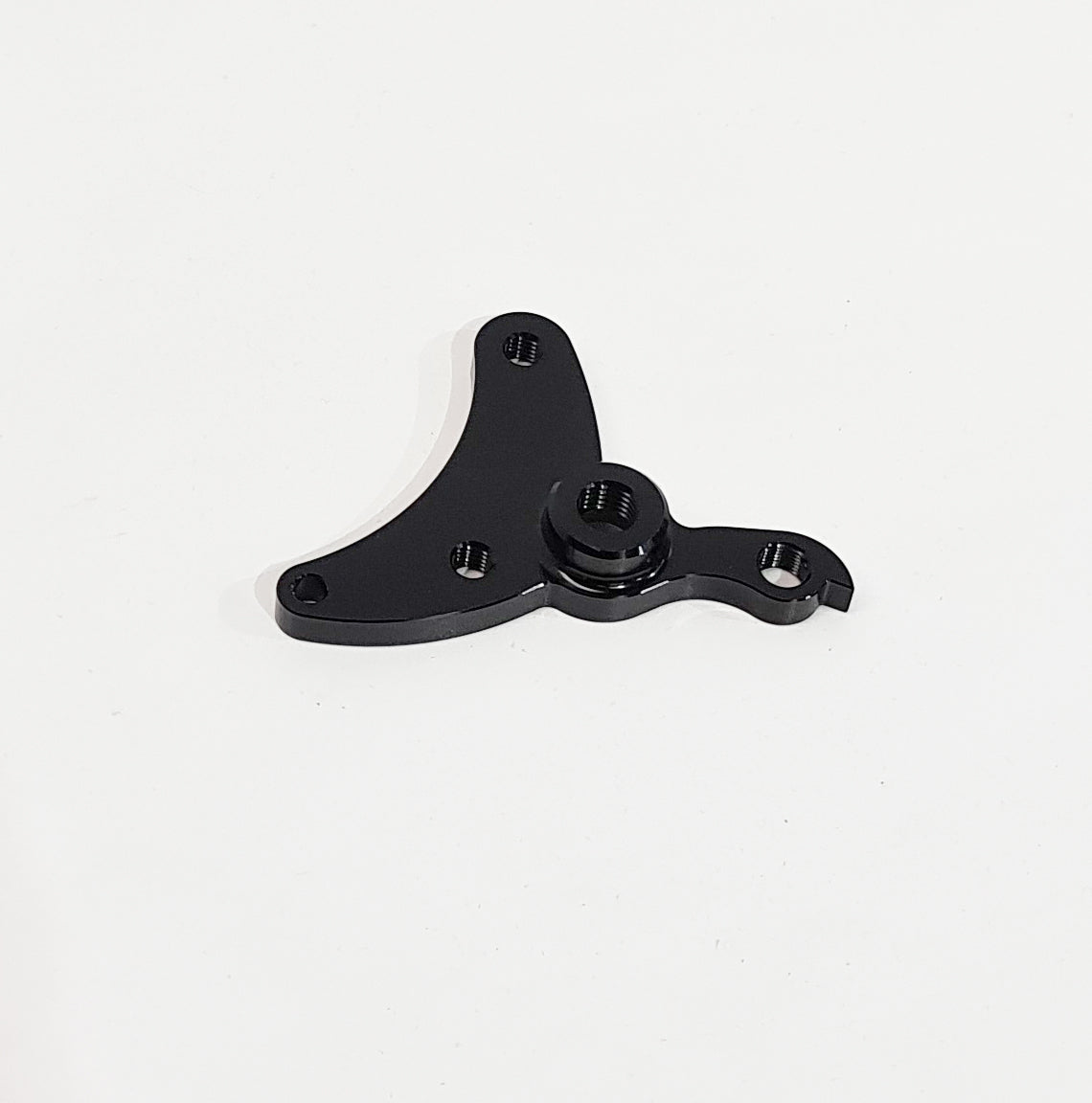 Titus Goldrush Replaceable Sliding Dropouts